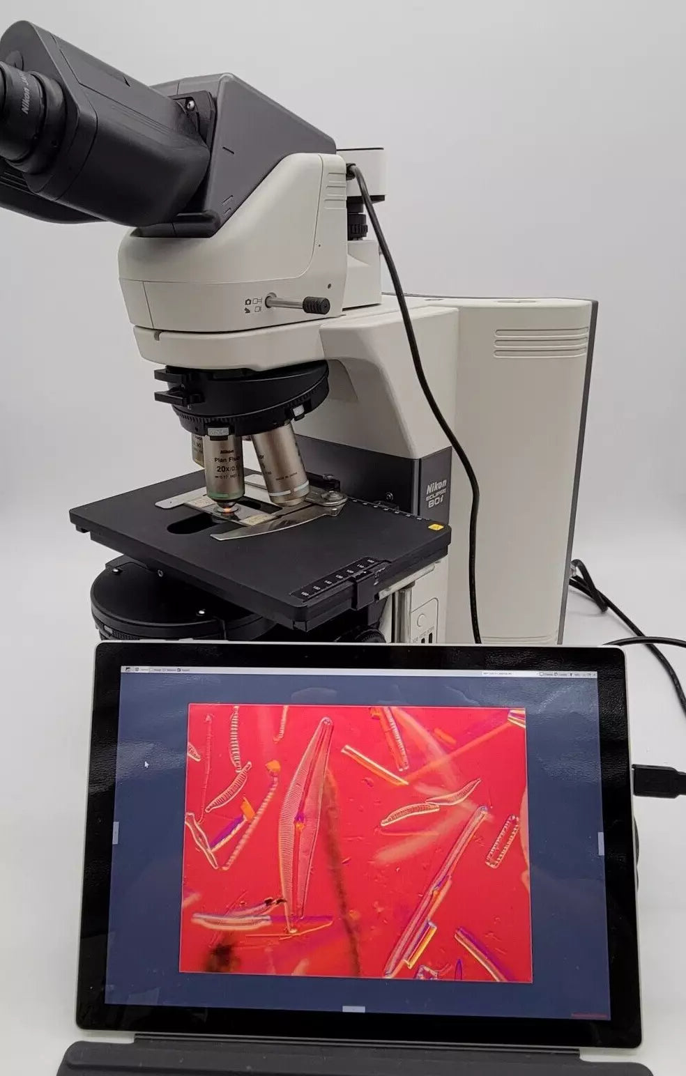 Nikon Microscope Eclipse 80i with DIC and Camera - microscopemarketplace