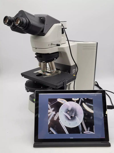 Nikon Microscope Eclipse 80i with DIC and Camera - microscopemarketplace