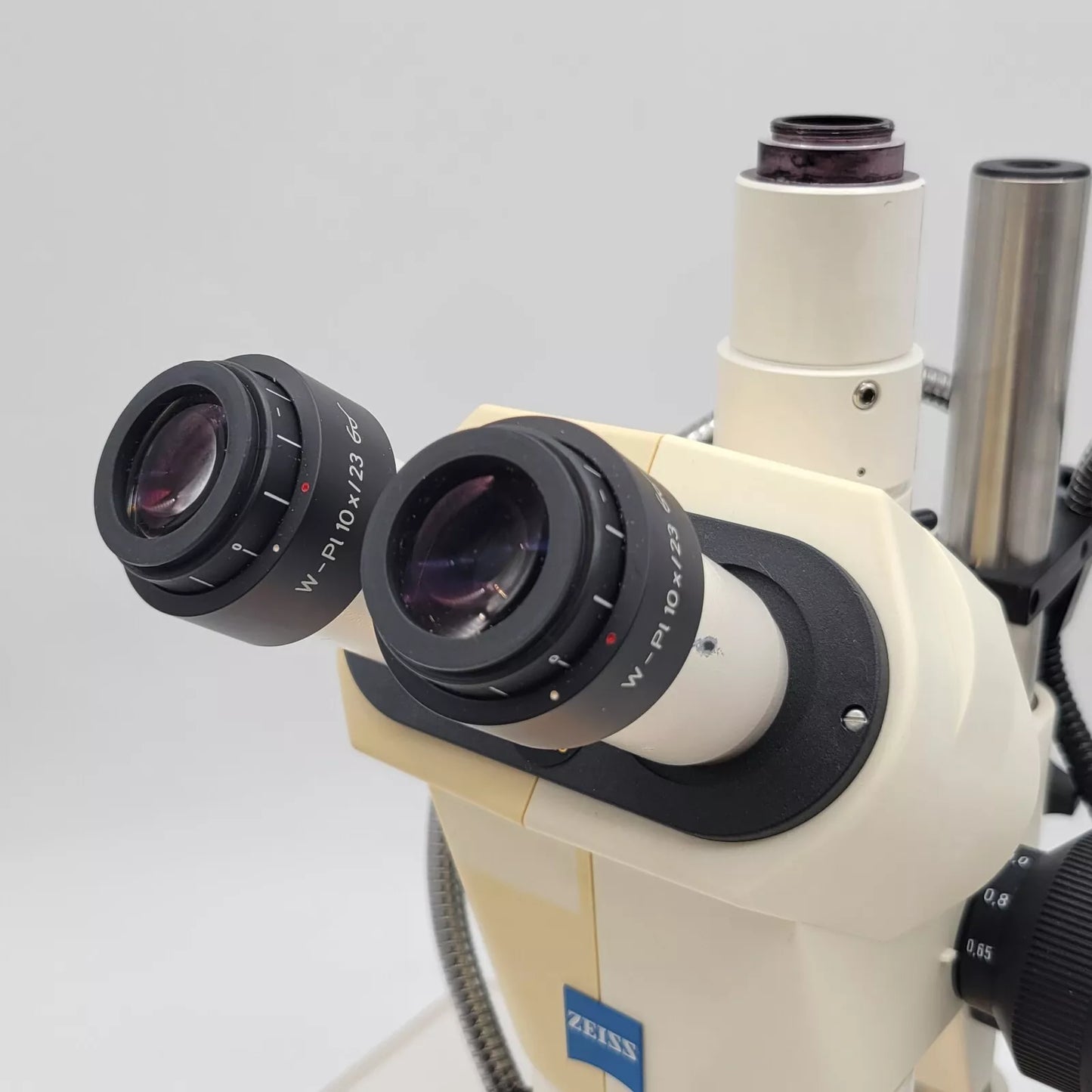 Zeiss Stereo Microscope Stemi 2000-C with Camera Port