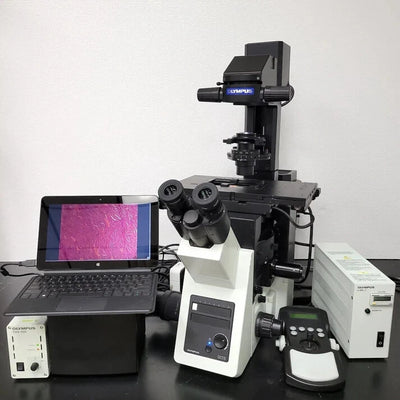 Olympus Microscope IX73 with Phase Contrast, Fluorescence, and Motorized Stage - microscopemarketplace