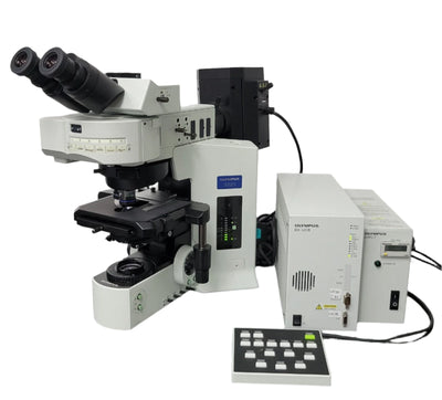Olympus Microscope BX61 FISH Fluorescence In Situ Hybridization with 100x - microscopemarketplace
