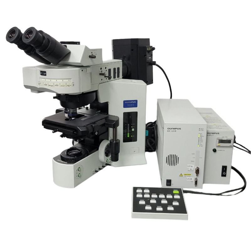 Olympus Microscope BX61 FISH Fluorescence In Situ Hybridization with 100x - microscopemarketplace