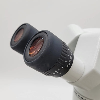 Wild M8 Stereo Microscope with BF/DF Transmitted Light Base - microscopemarketplace