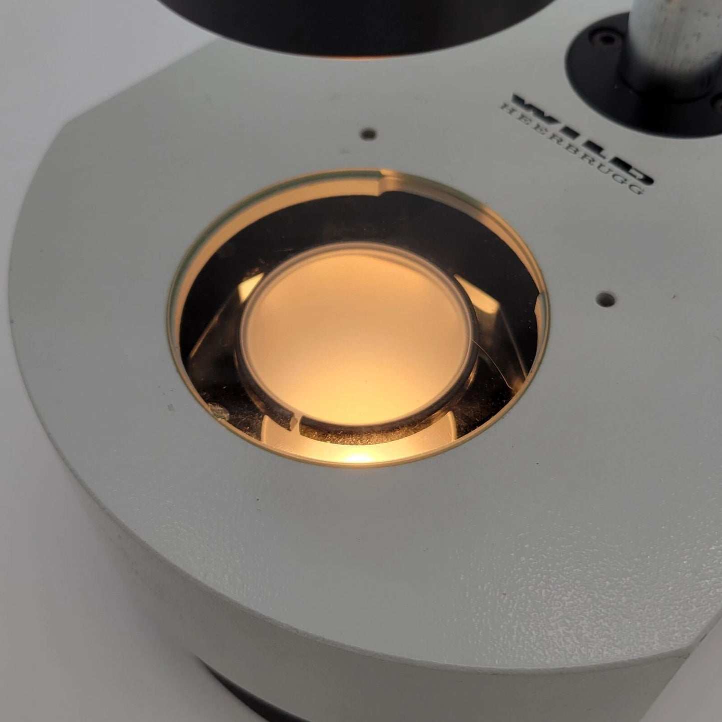 Wild M8 Stereo Microscope with BF/DF Transmitted Light Base - microscopemarketplace