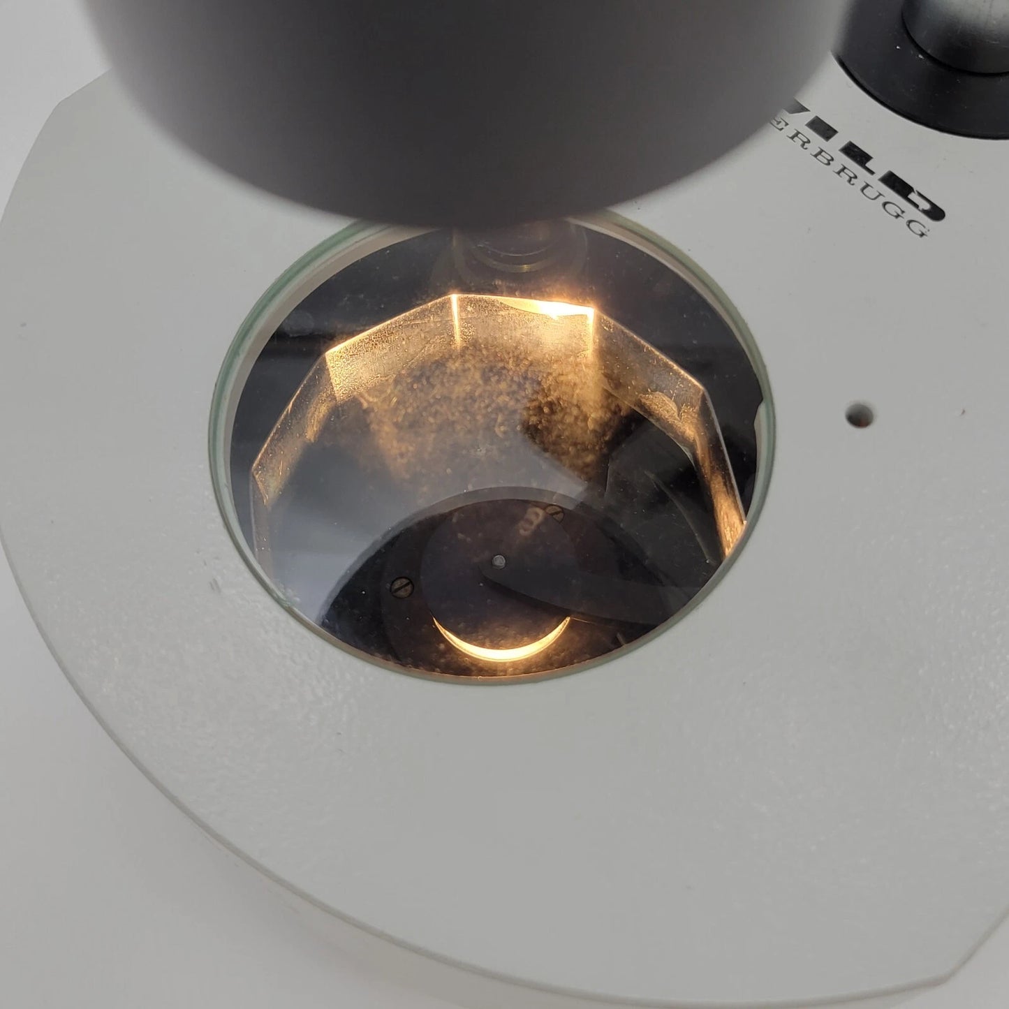 Wild M8 Stereo Microscope with BF/DF Transmitted Light Base - microscopemarketplace