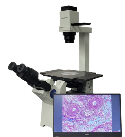 Olympus Microscope IX51 with Camera, Tilting Head & Phase Contrast | Tissue Culture - microscopemarketplace