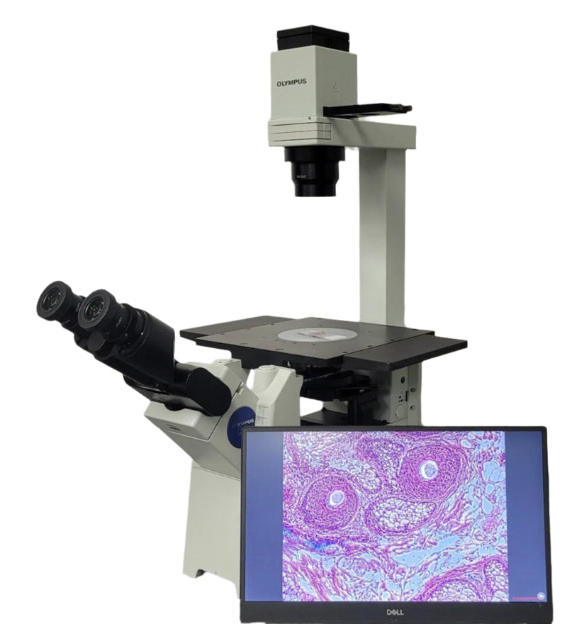 Olympus Microscope IX51 with Camera, Tilting Head & Phase Contrast | Tissue Culture - microscopemarketplace