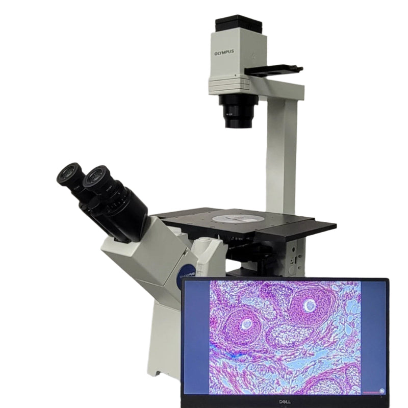 Olympus Microscope IX51 with Camera & Phase Contrast | Tissue Culture - microscopemarketplace