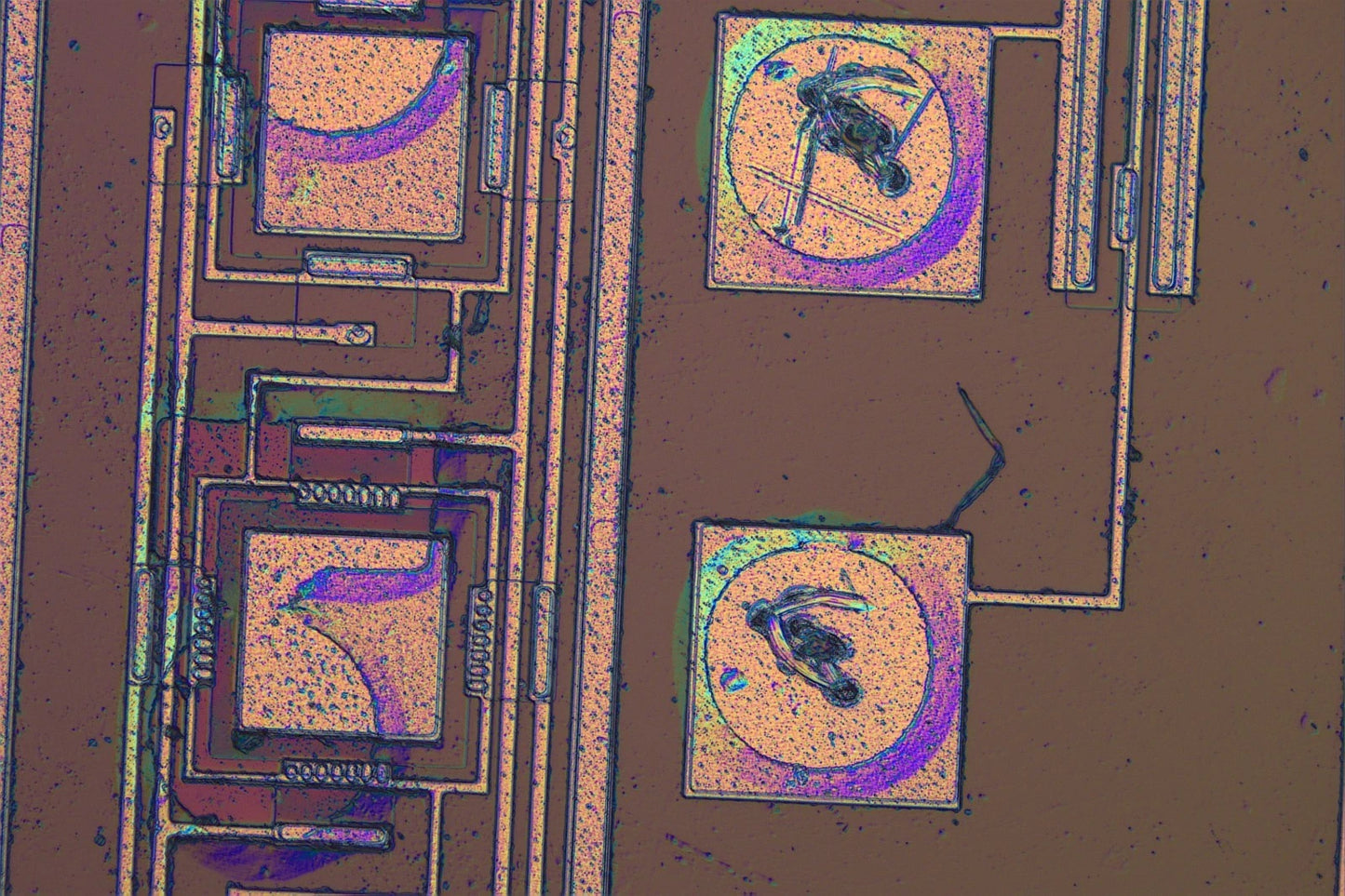 Olympus Microscope BX51 with DIC, BF/DF Reflected Light, Trinocular & Camera Metallurgical