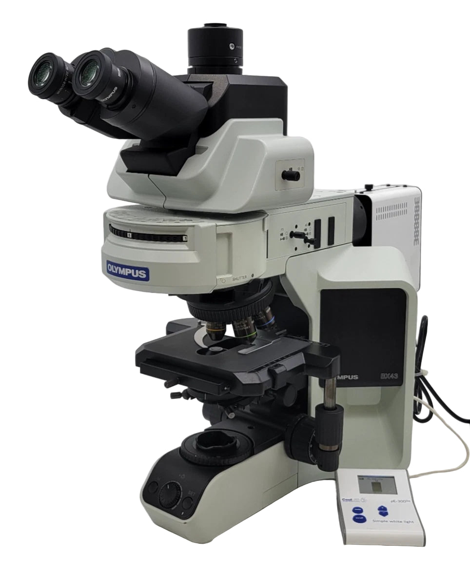 Olympus Microscope BX43 with Fluorescence and CoolLed pE-300 Illumination