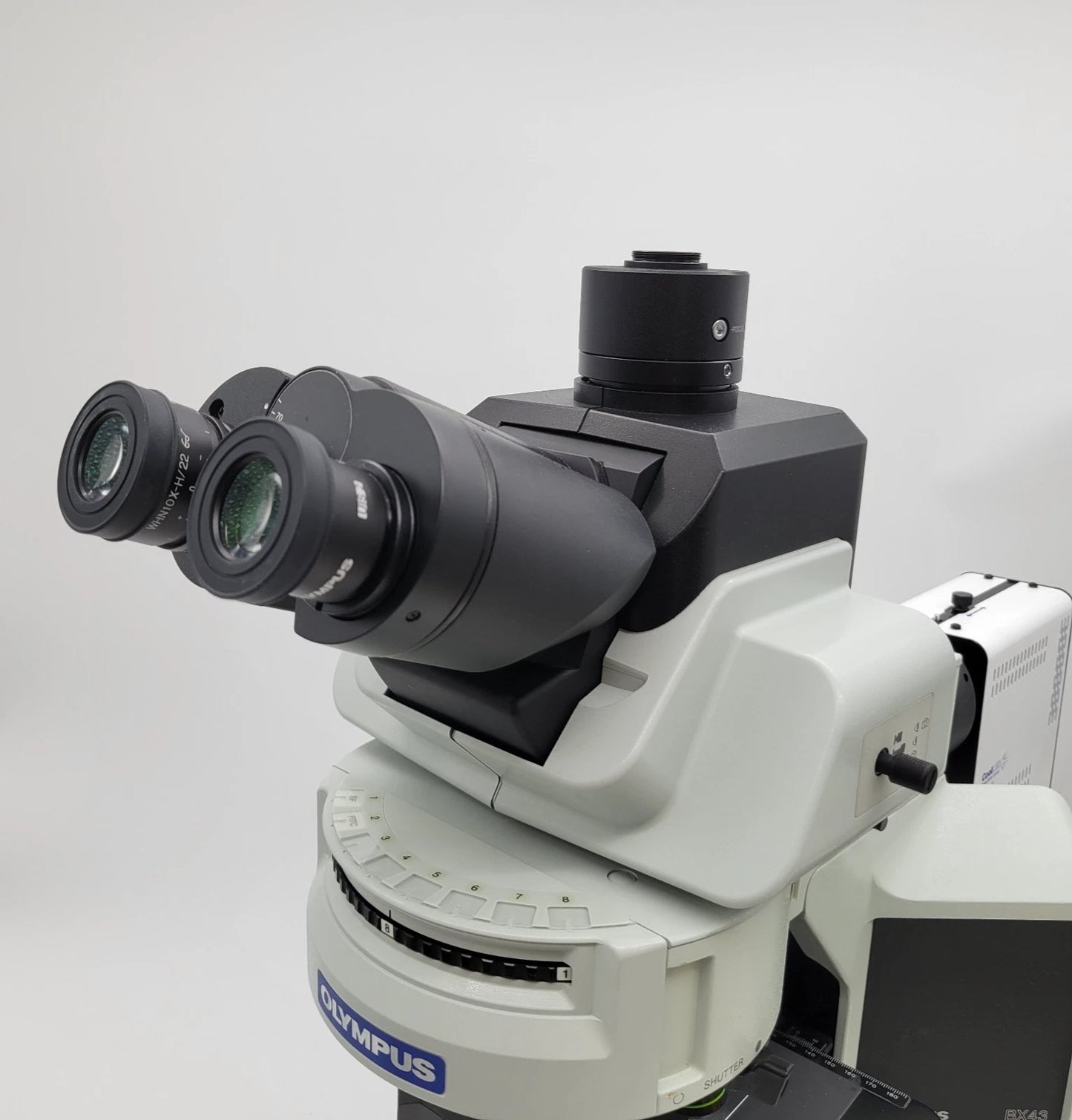 Olympus Microscope BX43 with Fluorescence and CoolLed pE-300 Illumination