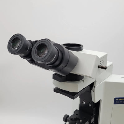 Olympus Microscope BX51WI Water Immersion with Siskiyou MXMS-125 XY Translator - Microscope Marketplace
