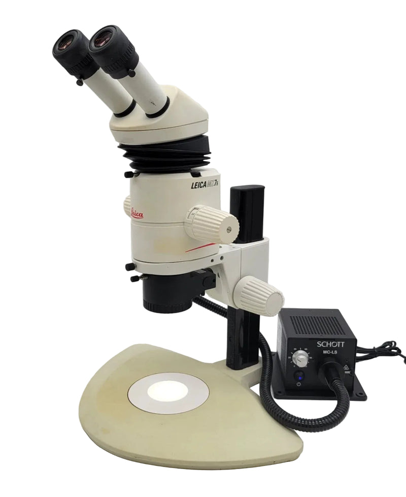 Leica Stereo Microscope MZ7.5 with Coaxial Illumination for Inspection / Necropsy - Microscope Marketplace