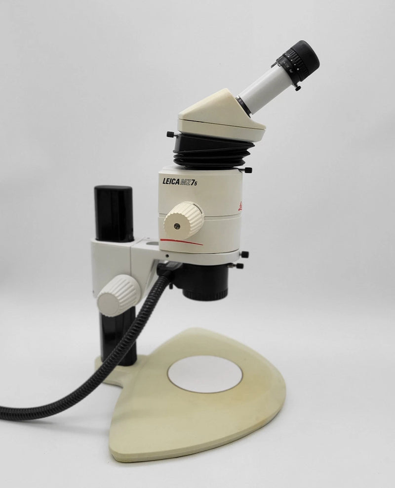 Leica Stereo Microscope MZ7.5 with Coaxial Illumination for Inspection / Necropsy - Microscope Marketplace