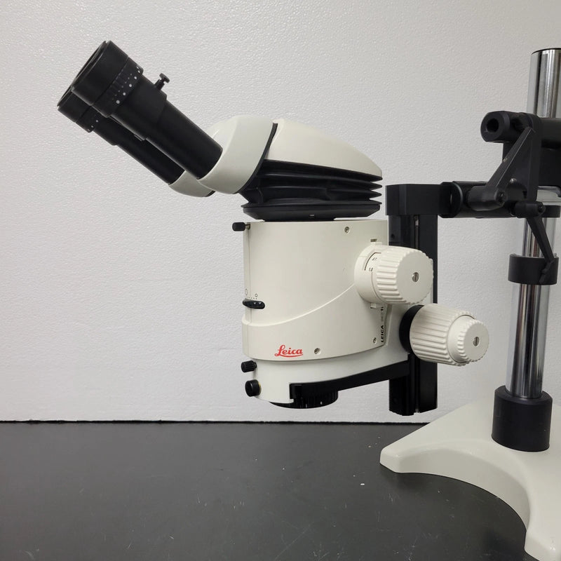 Leica Stereo Microscope MZ16 with Tilting Ergo Head & Boomstand - Microscope Marketplace