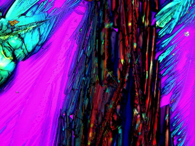 Olympus Microscope BX51 Pol Polarizing with Bertrand Lens, BF/DF, & Camera - microscopemarketplace