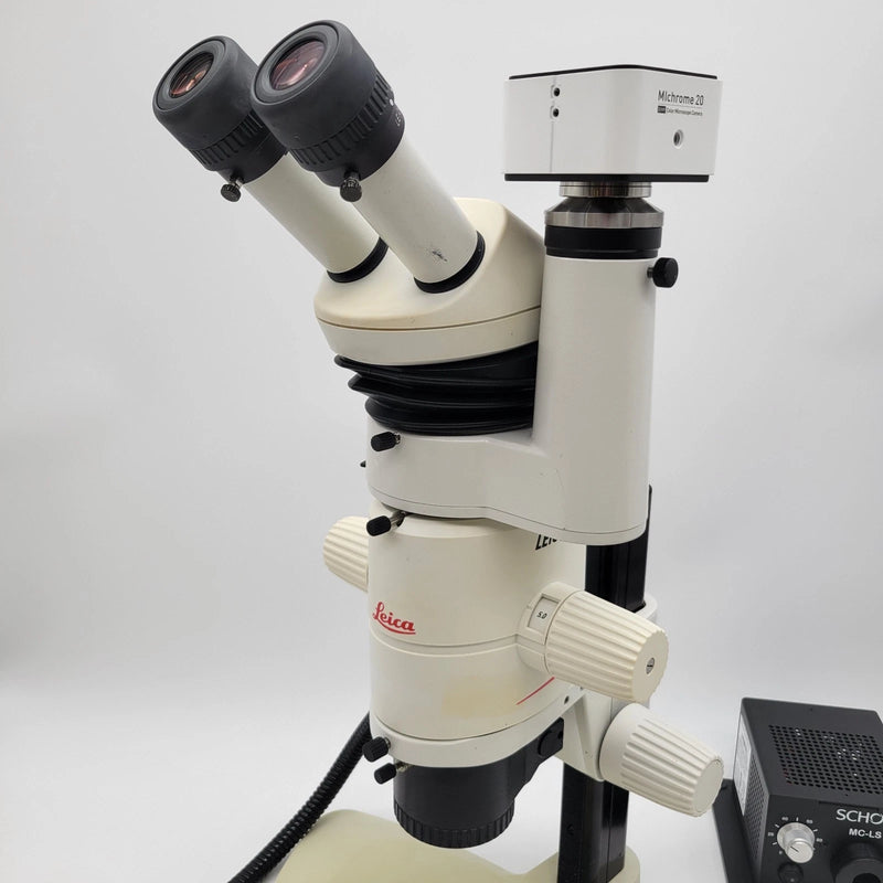 Leica Stereo Microscope MZ7.5 with Coaxial Illumination, Photo Tube & Camera - Microscope Marketplace