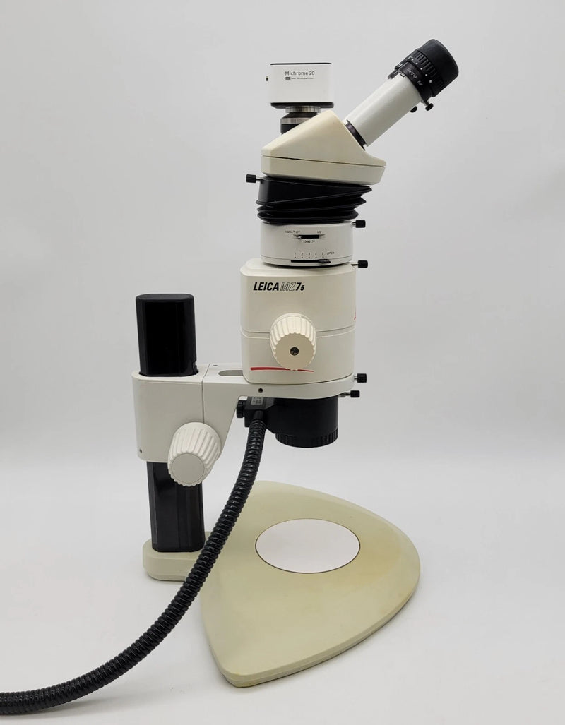 Leica Stereo Microscope MZ7.5 with Coaxial Illumination, Photo Tube & Camera - Microscope Marketplace