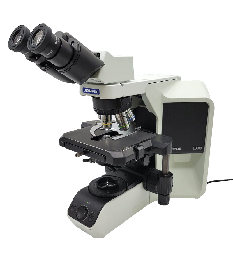 Olympus Microscope BX43 with Fixed Binocular Head and 20x Objective - microscopemarketplace