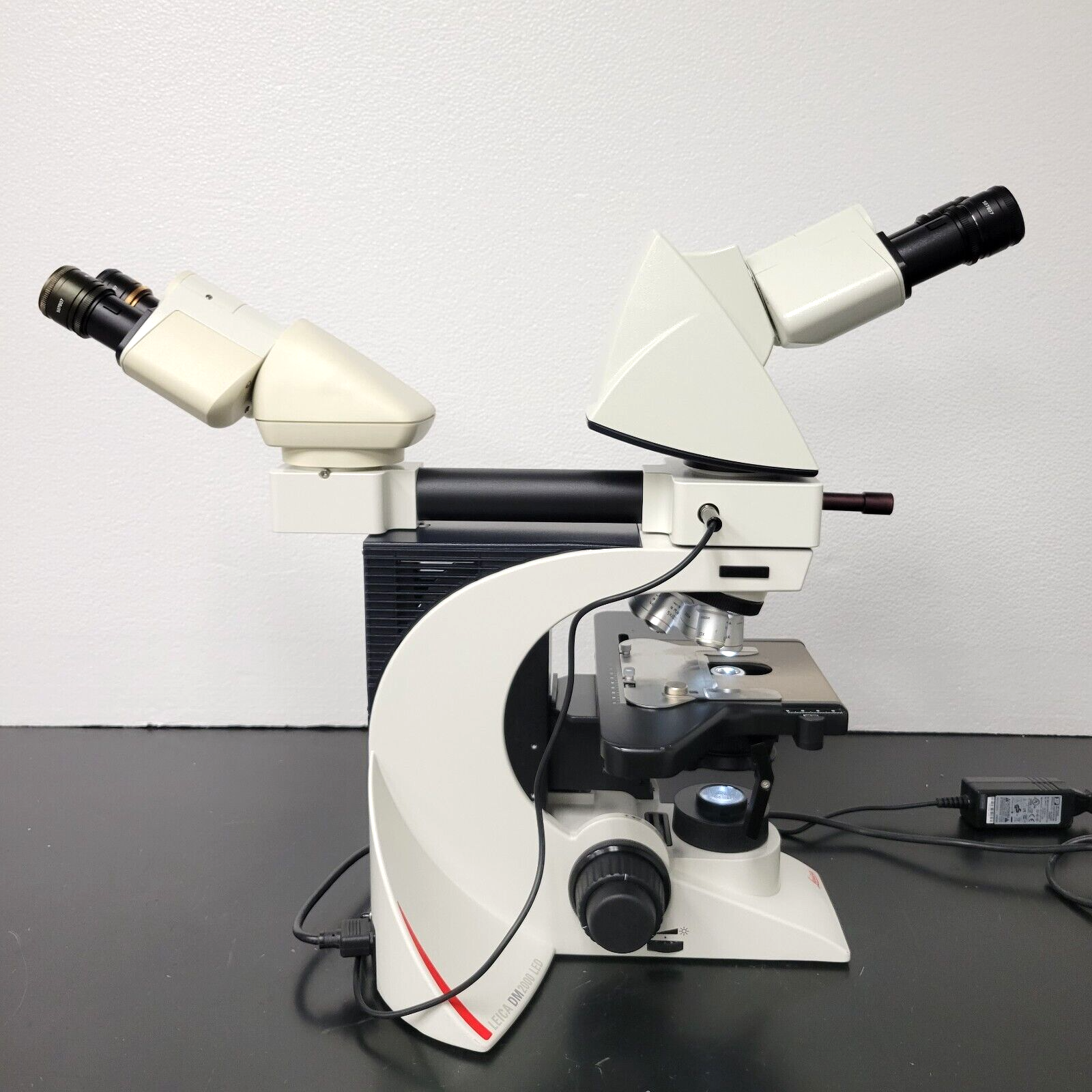 Mitose Celdeling. Eukaryote Cel. Geschilderd Paars Gezien In Een Optische Microscoop Cariotomie Fasen Image263053367 Mitose Celdeling. Eukaryote Cel. Geschilderd Paars Gezien In Een Optische Microscoop Cariotomie Fasen Image263053367