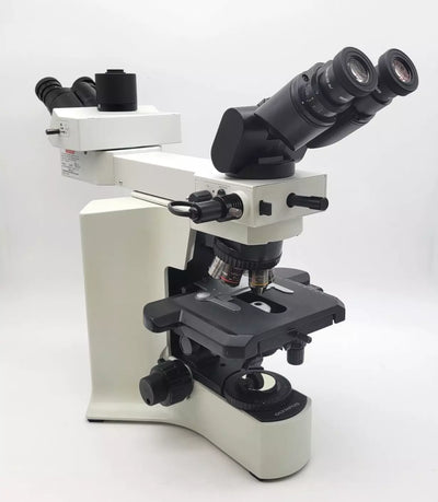 Olympus Microscope BX41 w. Front to Back Bridge, 2x & Fluorites Pathology / Mohs - microscopemarketplace