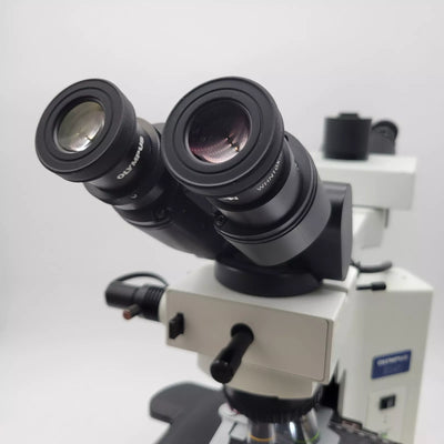 Olympus Microscope BX41 w. Front to Back Bridge, 2x & Fluorites Pathology / Mohs - microscopemarketplace