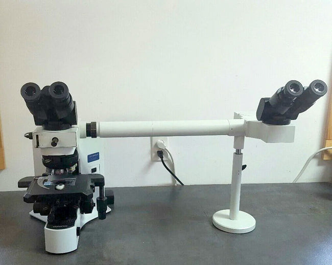 Olympus Microscope BX41 with 2X and Side by Side Bridge (Dual Head) - microscopemarketplace