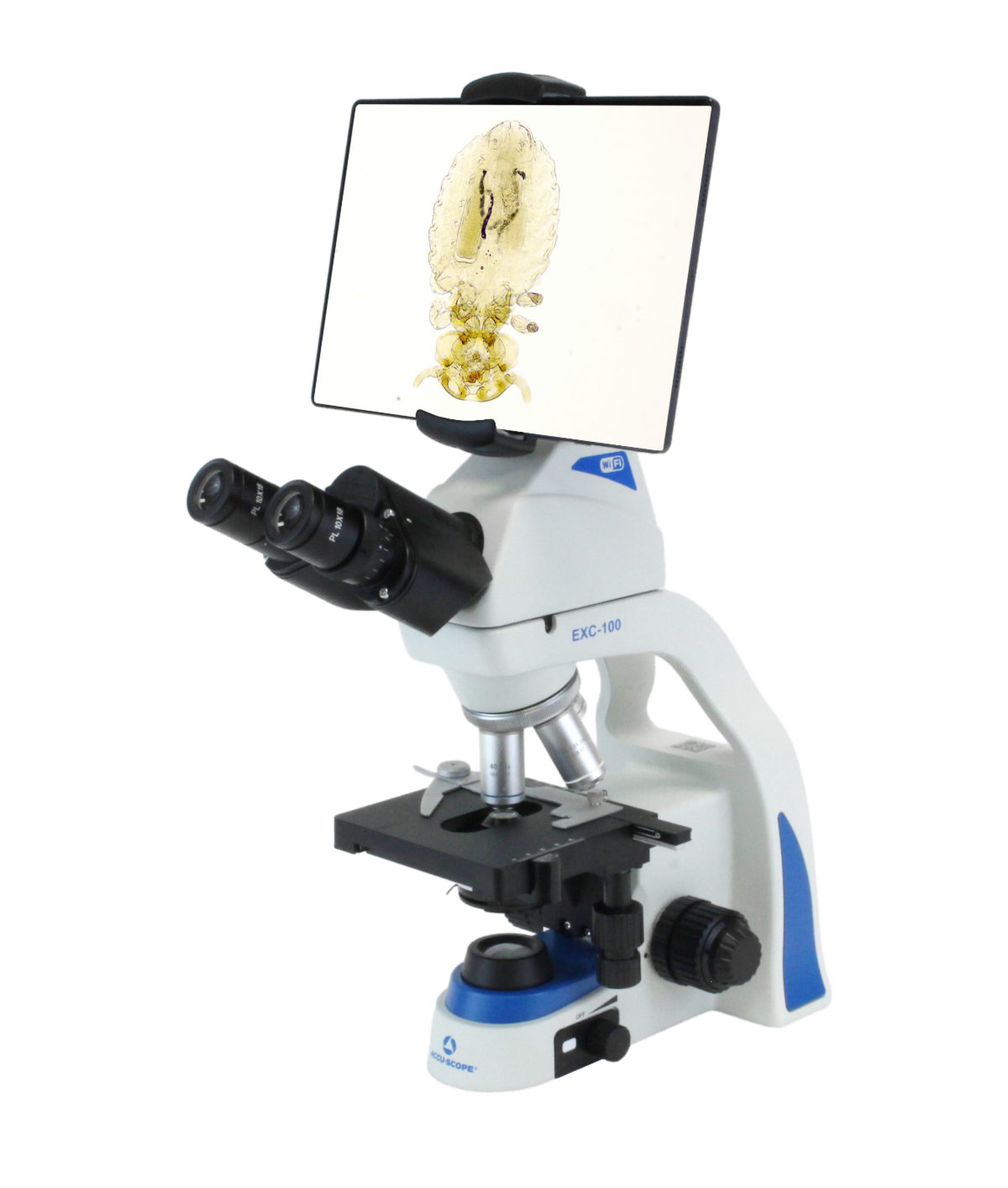 EXC-100-WB Vet Microscope with Display Screen and Wifi - microscopemarketplace