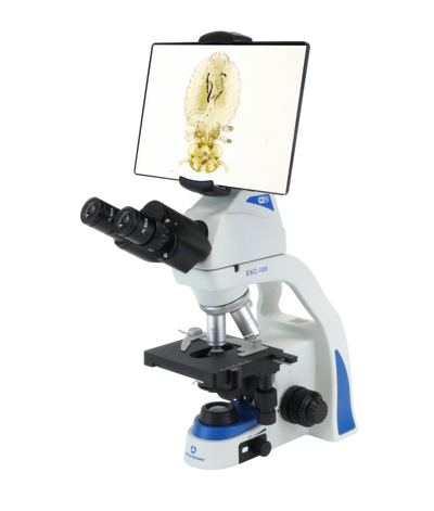 EXC-100-WB Vet Microscope with Display Screen and Wifi - microscopemarketplace