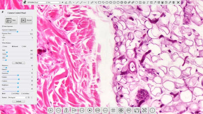 Accu-Scope ALTRA PathoPix 4K Camera | Wi-Fi - microscopemarketplace