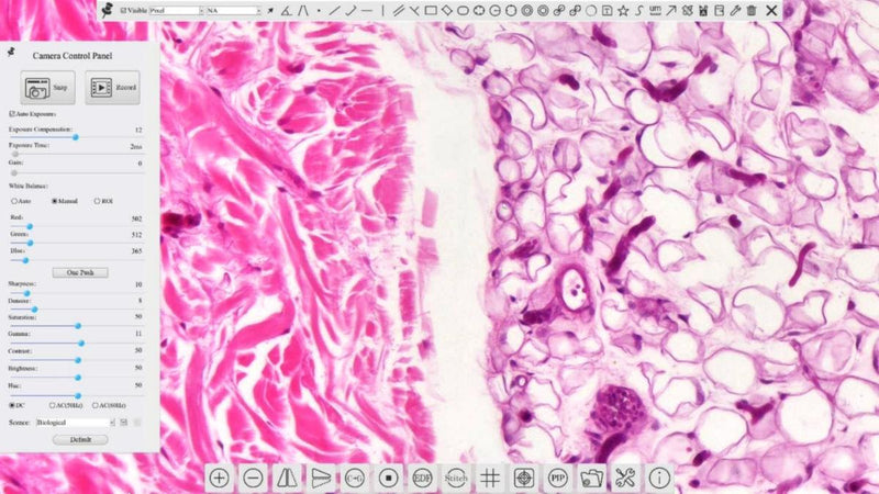 Accu-Scope ALTRA PathoPix 4K Camera | Wi-Fi - microscopemarketplace