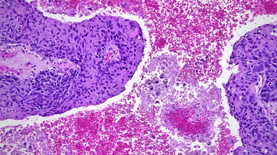 Accu-Scope ALTRA PathoPix 4K Camera | Wi-Fi - microscopemarketplace