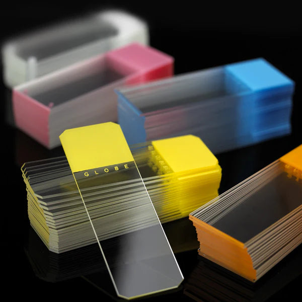 Globe Scientific Diamond® White Glass Slides with Clipped Corners | 1384-50P - Microscope Marketplace