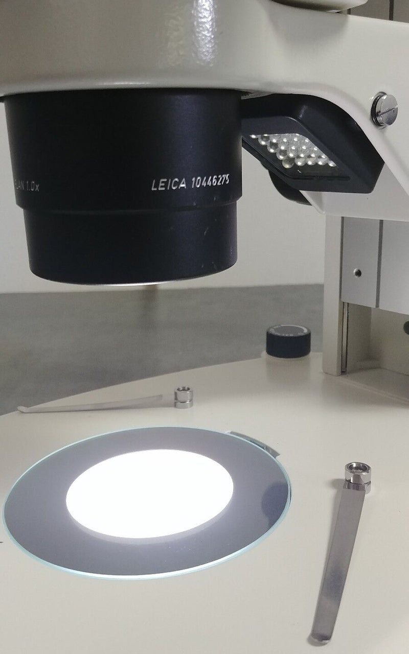 Leica Microscope MZ9.5 with Tilting Binocular Head and Dual Illuminated Stand - microscopemarketplace