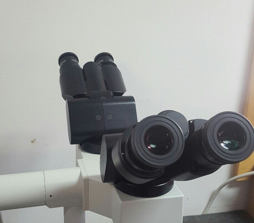 Olympus Microscope BX41 with 2X Multihead teaching (3 Heads) Mohs Microscope - microscopemarketplace