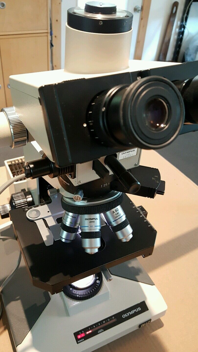 Olympus Microscope BH2 5 Headed Teaching microscope - microscopemarketplace