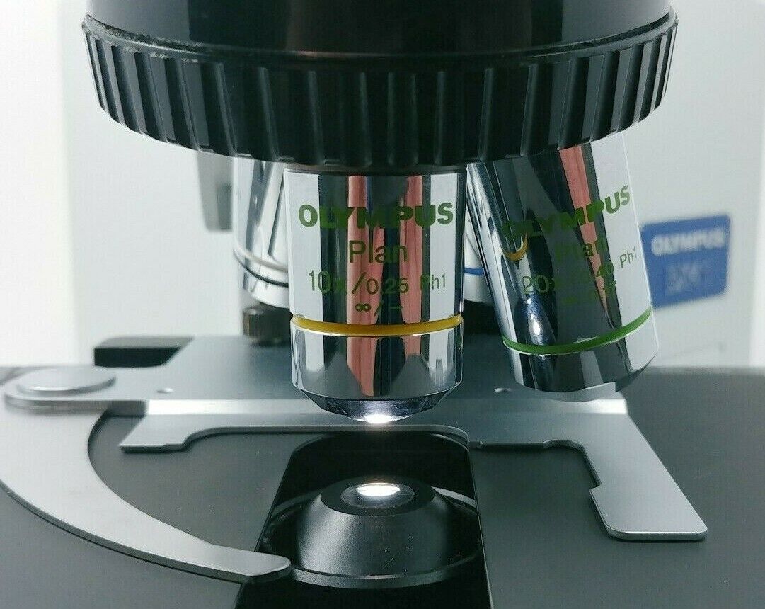 Olympus Microscope BX41 with Phase Contrast and Tilting Head - microscopemarketplace