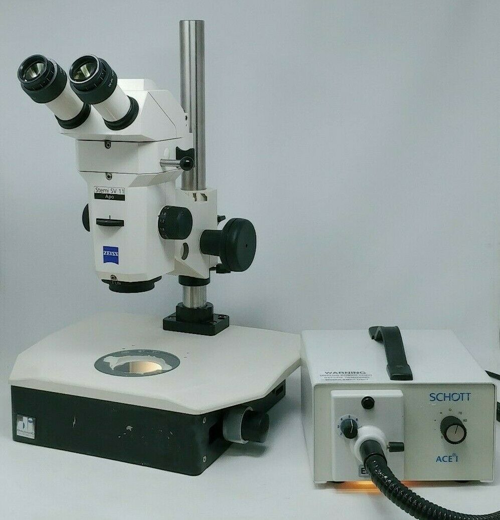 Zeiss Microscope Stemi SV 11 Apo with Transmitted Light Stand - microscopemarketplace