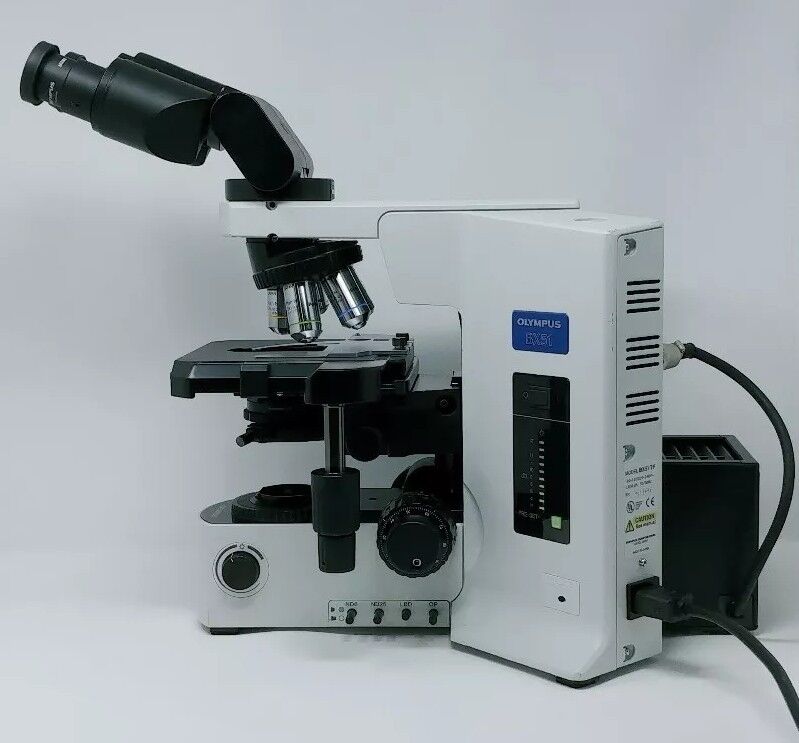 Olympus Microscope BX51 with Tilting Binocular Head - microscopemarketplace