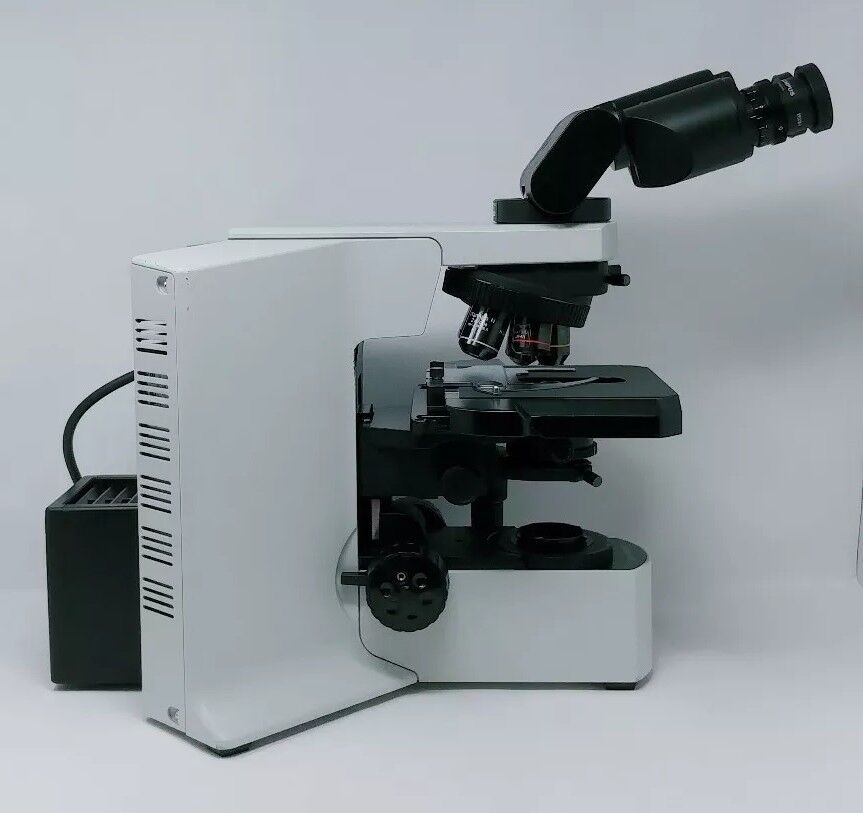 Olympus Microscope BX51 with Fluorites and Tilting Binocular Head Pathology - microscopemarketplace