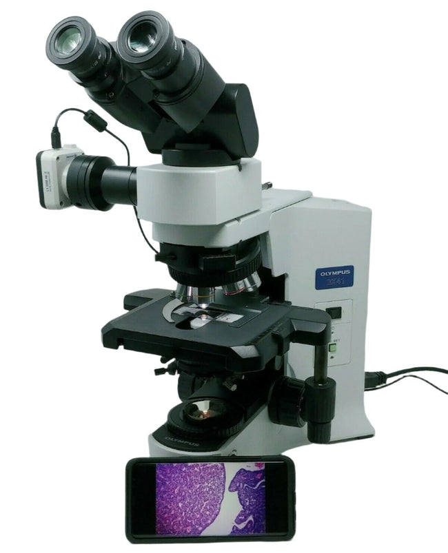 Olympus Microscope BX41 with 2x, 60x, and Camera - microscopemarketplace