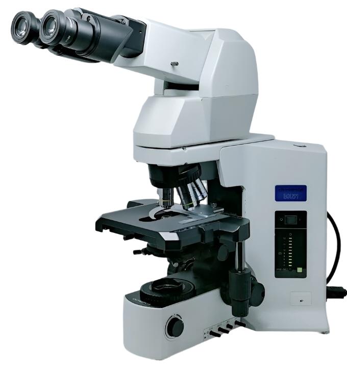 Olympus Microscope BX51 with Tilting Telescoping Head - microscopemarketplace