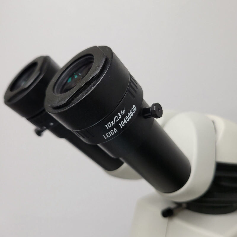 Leica Stereo Microscope M125 w. Tilt Head & TL4000 BF/DF Transmitted Light Stand - microscopemarketplace