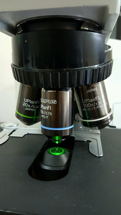 Olympus Microscope BX50  with Fluorescence (Fully Serviced) - microscopemarketplace