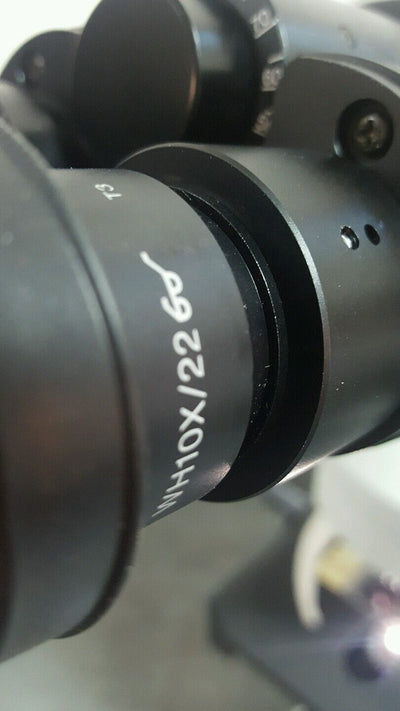 Olympus Microscope BX41 with 2X and Tilting Telescope head - microscopemarketplace