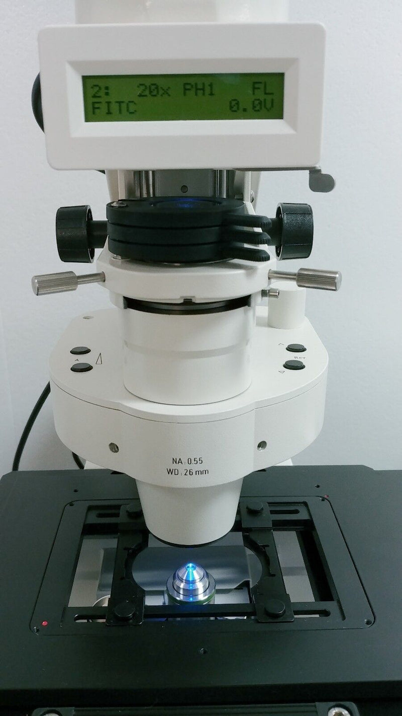 Zeiss Microscope Axiovert 200M with Fluorescence and Motorized - microscopemarketplace