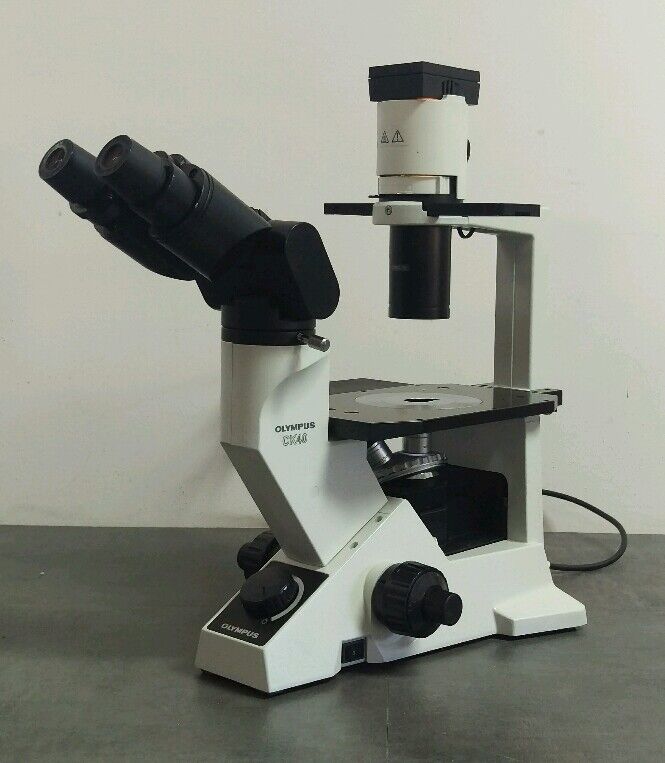 Olympus Microscope CK40 Phase Contrast Tissue Culture - microscopemarketplace