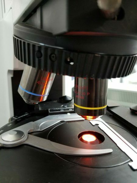 Olympus Microscope BX51 POL with Fluorescence - microscopemarketplace