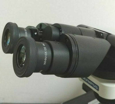 Olympus Microscope BX43 with Tilting Head and 2X Objective Pathology - microscopemarketplace