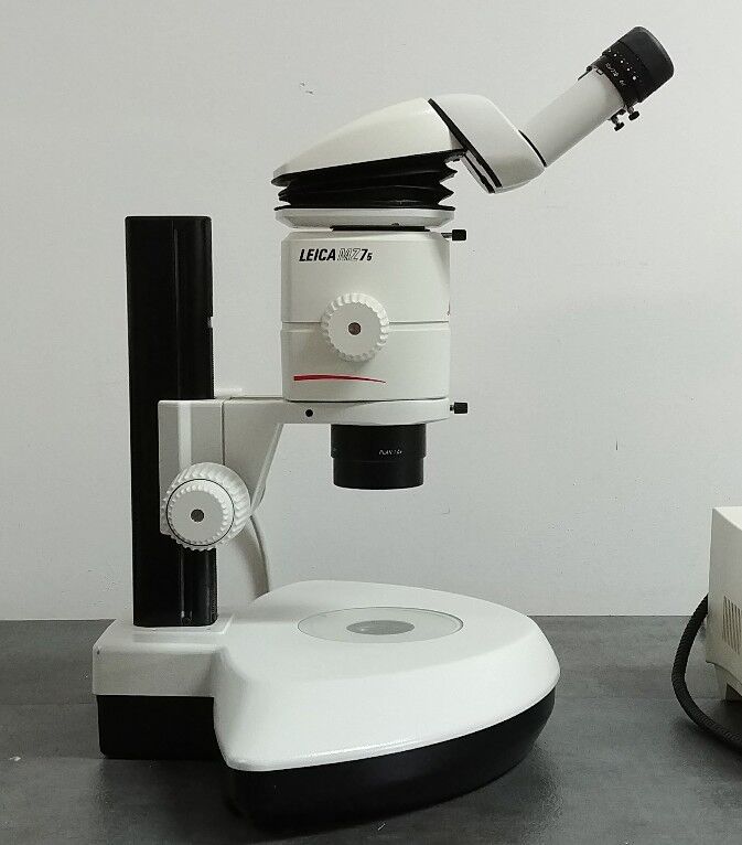 Leica Microscope MZ75 with KL 1500 Illuminator - microscopemarketplace
